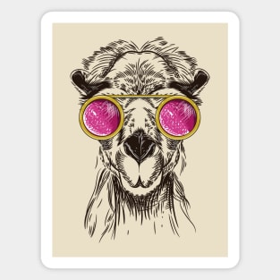 camel pink glasses Magnet